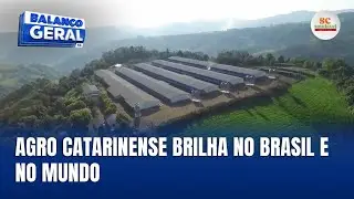 SC Saud&aacute;vel: agro bate recordes e leva sabor &agrave; mesa do mundo