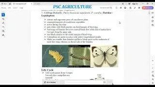 Agriculture officer,5th &4th (Plant protection cereal crop insect and disease Day-2) #agriculture