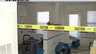 mold cleaning COPAKE NY 12516   Service Team