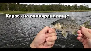Клюёт без остановки. На водохранилище. Полная версия. Lake Samsonvale QLD.