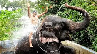Elephant ride in Thekkady Kerala