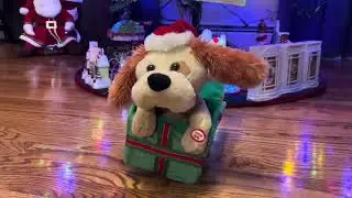 Innovage LLC 2008 Holiday Pooch &ldquo;Shout (Parody)&rdquo; 