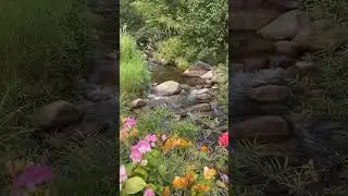 buetiful views reel #viral #ytshorts #youtubeshorts #balochzada #foryou #shorts  #naturelovers