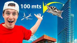 ENSE&Ntilde;E A VOLAR A MI MASCOTA !!