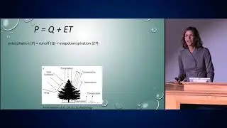 A synthesis of recent effects of forest disturbance on water yield in the West