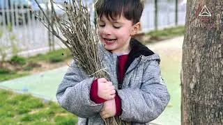 LightSource Initiative: Planting Trees for the Future