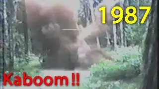 Removing Tree Stumps With Dynamite and Explosive Fertilizer Back in 1987 | VHS 80's Home Movie