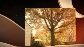 Tree Services Anaheim CA