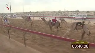 سباق الحقاقة – لهباب 17-01-2026 ش20 شواهين لـ عبدالله غالب سلطان المنصوري  6:13
