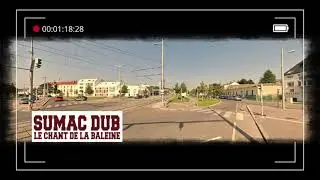 &sect;&sect;&sect;Sumac Dub - Le Chant De La Labaleine&sect;&sect;&sect; (Instrumental)