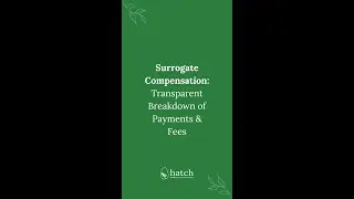 Surrogate Compensation: Transparent Breakdown of Payments & Fees