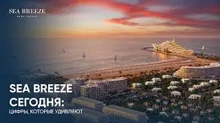 Sea Breeze Today: Astonishing Numbers