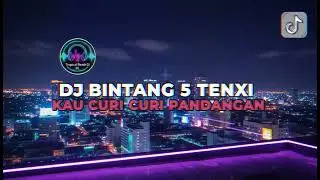 DJ BINTANG 5 TENXI   KAU CURI CURI PANDANGAN REMIX Elart Remix VIRAL TIKTOK TERBARU 2025
