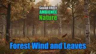 Forest Whispers: Windy Mixed Deciduous Woodland & Insects - SFX - Sound Effect