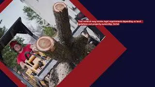 Arrow Fire and Land Management - Tree Removal Service  Prevent Damage and Hazards