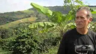 Brazilian Coffee Farm Tour
