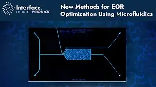 New Methods for EOR Optimization Using Microfluidics