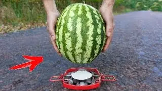 EXPERIMENT: BEAR TRAP vs WATERMELON