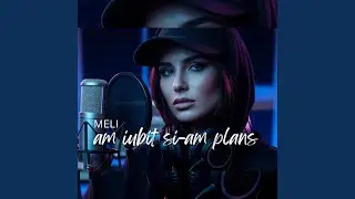 Am iubit si am plans