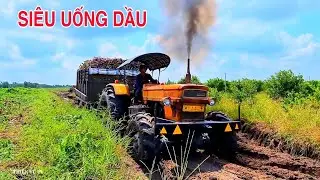 Sức Mạnh Quá Khủng Của Máy Cày Fiat 1000 Chở Củ Mì Chạy Đường Xe Dính Lầy Còn Kéo Luôn Em MTZ Ra
