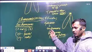 Structure of RNA BY: Abhinash sir at ICC