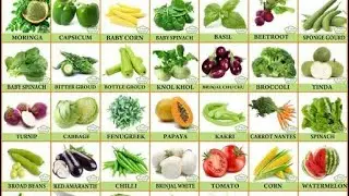 seeds from meesho review part -1 #seeds #vegetables #plants # seedstoplants