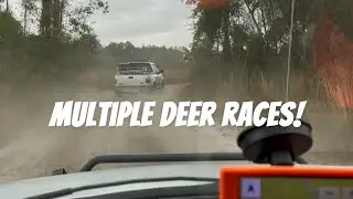 The Most Action Yet!! Dog Hunting Weekend #6 2025 