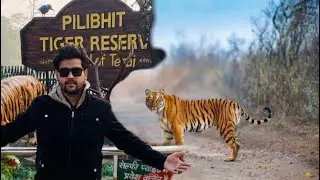 Pilibhit Tiger Reserve🦁😨| Jungle Safari | Chuka beach | Royal kingdom resort | Sarovar Portico 🏨