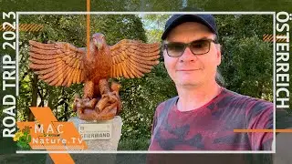 Klettersteig Geierwand in Tirol 🇦🇹 Road Trip 2023 🇦🇹 Teil 12