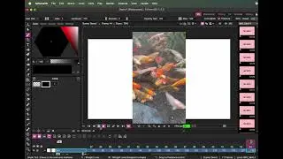 Tahoma2D: Importing Video
