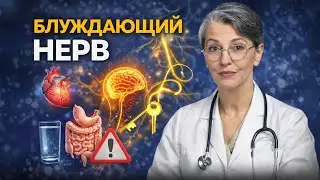 Блуждающий Нерв: Почему От Него Зависит Всё