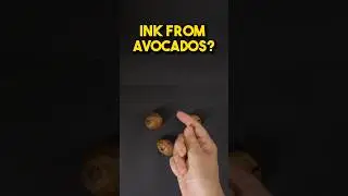 Making Ink From Avocados - #ink #diy #diyart #art #diyartsandcrafts