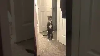 The Most Dramatic Reaction 😂