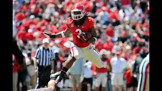 Georgia Football 2014 Season Highlights