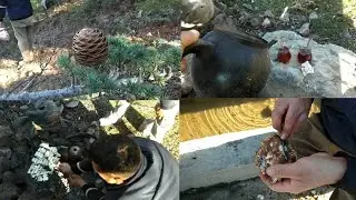 YERALTI MANTARI NASIL BULUNUR KATRAN MANTARINA ÇIKTIK - MANGALDA MANTAR - KÖZDE ÇAY