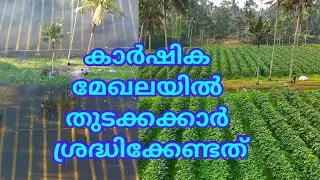 കാർഷിക മേഖലയിൽ തുടക്കക്കാർ ശ്രദ്ധിക്കേണ്ടത്
