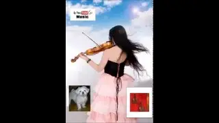 Buyl (Star) - 200 Pounds Beauty OST violin cover