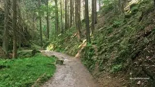 Park Narodowy Czeska Szwajcaria - Wąw&oacute;z Edmunda cz. 1 - iphone se - pinnacle studio 24 ultimate