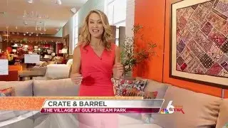 NBC 6 Andy Tilis, Feature Gulfstream Village, 6 in the Mix