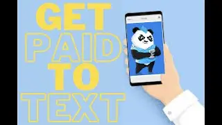 Punk Panda Ready To Beat WhatsApp By Paying Members