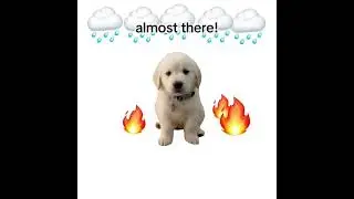 Help save the puppy!!! 😖 #crazy #difficult #fun #game #interactive #shortsfeed #shortvideo