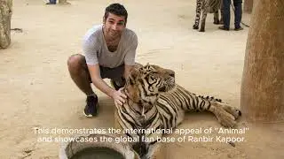 Animal Full Movie Collection: Animal Box Office Collection Day 6: Ranbir Kapoor Starrer Ea