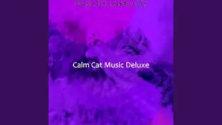 Refined Calming Cats