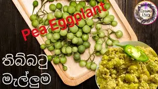 How to make Thibbatu Melluma / Pea Eggplant / Wild Eggplant / තිබ්බටු මැල්ලුම /Susumber/Turkey Berry