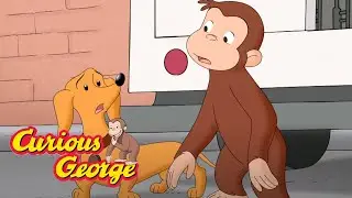 Curious George 🐵Monkey Senses 🐵Kids Cartoon🐵Kids Movies🐵Videos for Kids