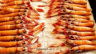 Cigalas de Blanes a la sal / Recetas f&aacute;ciles