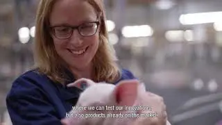 Trouw Nutrition Validation Farm in the Netherlands