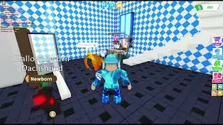got scammed lol prisoplol ban he in roblox 😶😶😶