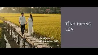 TÌNH HƯƠNG LÚA #aivideo #aimusicvideo #ai