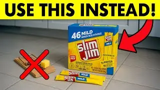 7 Measures You Need To Take To Kill All Rats Before Entering Your Home!